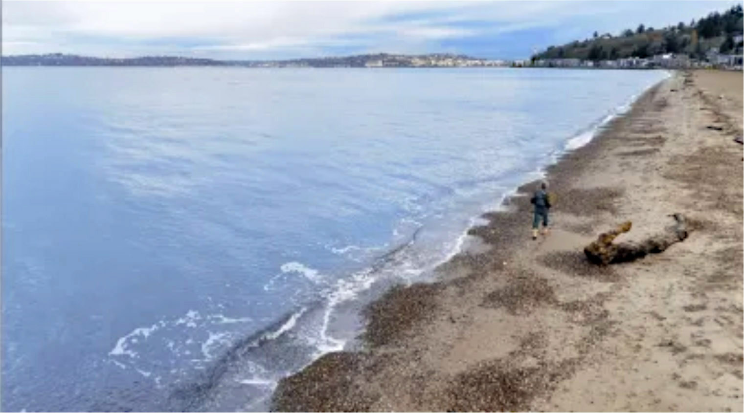 Alki Beach, West Seattle